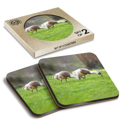 Boxed square coasters - 2,