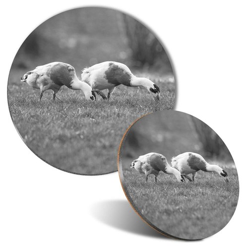 Mouse mat coaster - &, set