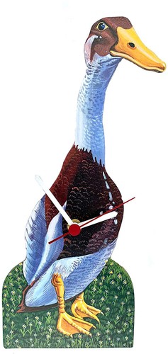 Indian runner duck - runner,