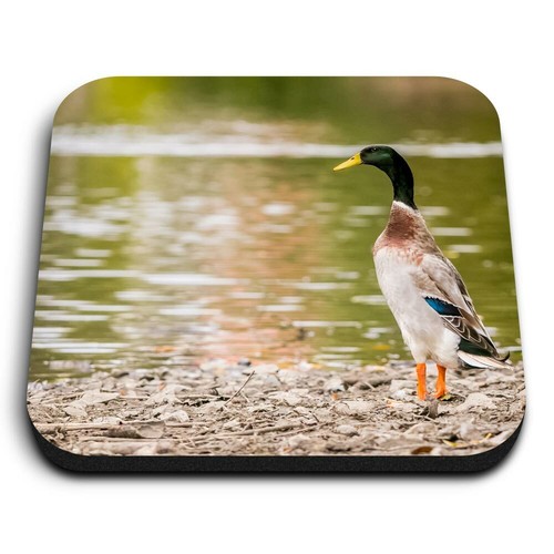 Square mdf magnets pretty - magnets,