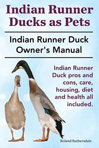 Indian runner ducks - indian, as