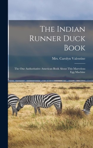 Valentine indian runner - -, duck