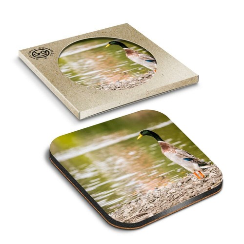 Boxed square coasters - x,