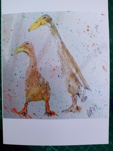 Indian runner ducks birthday - ducks,