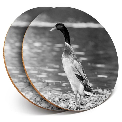 Coasters pretty - 2, bw