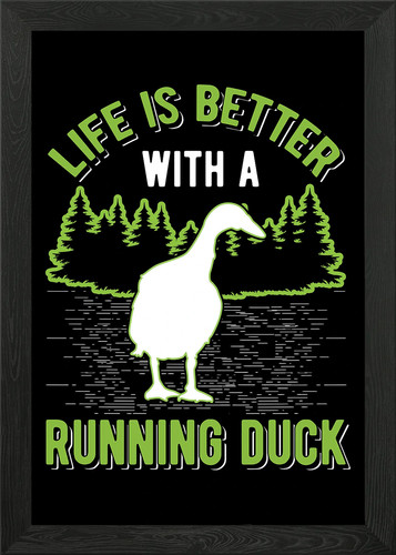Indian runner duck framed wall - indian,