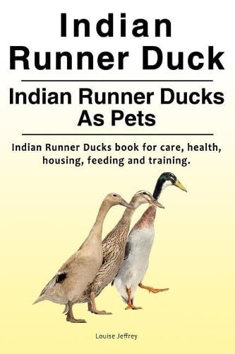 Indian runner duck - indian, duck.