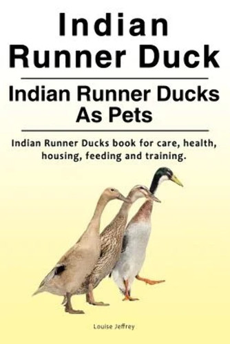 Indian runner duck - runner,
