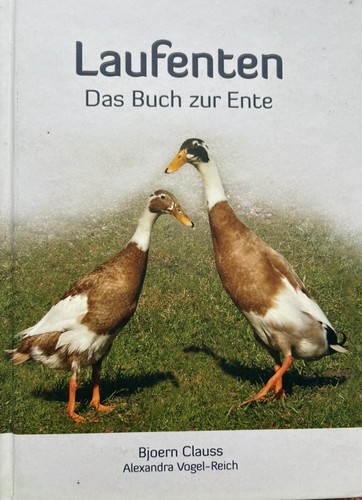 Indian runner ducks - runner,