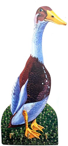 Indian runner duck plaque - indian,
