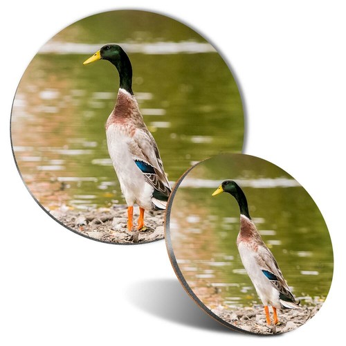 Mouse mat coaster set - coaster,