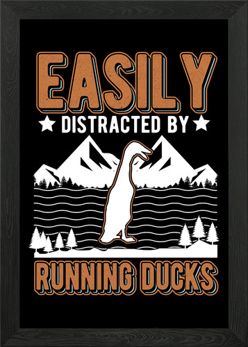 Indian runner duck - runner, wall