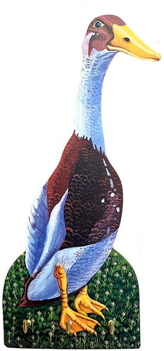 Indian runner duck magnet - magnet,