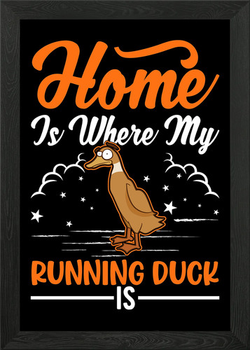 Indian runner duck framed - indian, wall