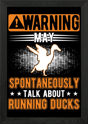 Indian runner duck - indian, wall