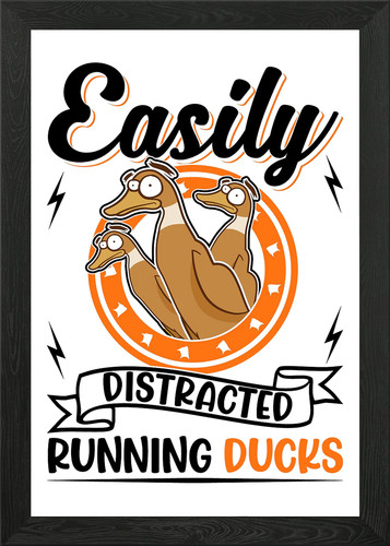 Indian runner duck framed wall - framed,