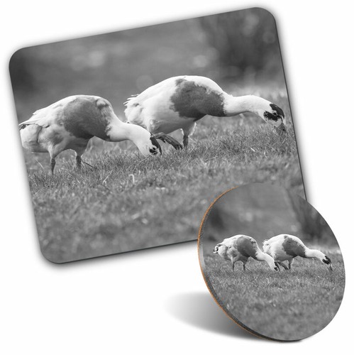 Mouse mat coaster set bw - set,