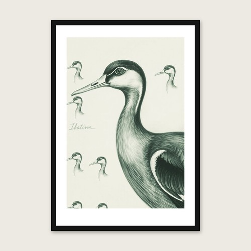 Indian runner duck - duck, wall