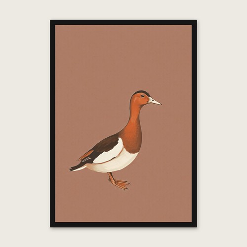 Indian runner duck gouache - runner,