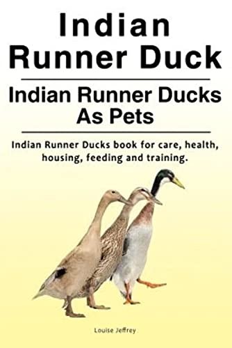 Indian runner duck - runner,
