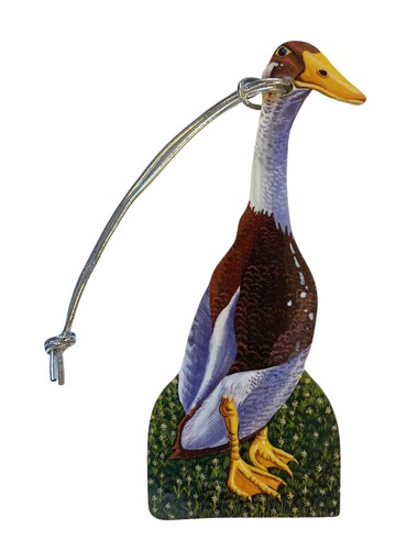 Indian runner duck christmas - indian,