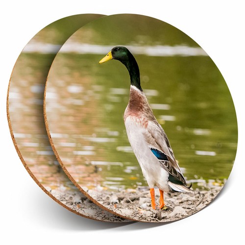 Coasters pretty indian - 2, x