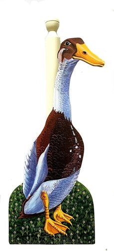 Indian runner duck kitchen - indian,