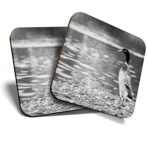 Coasters pretty - 2,