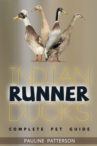 Indian runner ducks the - indian,