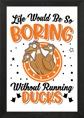 Indian runner duck framed wall - indian,