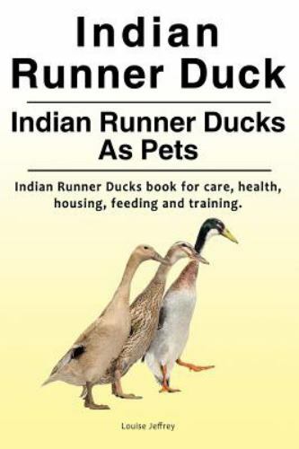Indian runner duck - indian, duck.