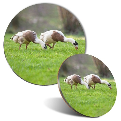 Mouse mat coaster set - mouse, &