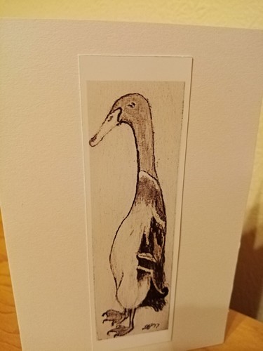 Indian runner duck birthday - duck,