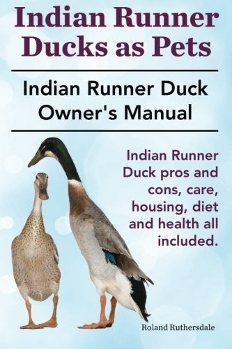Indian runner ducks pets - ducks,