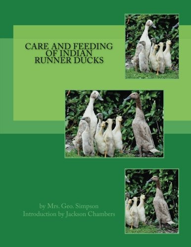 Care and feeding - feeding, of