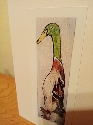 Indian runner duck birthday - indian,