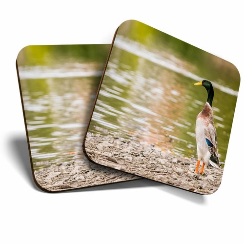Coasters pretty indian - 2,