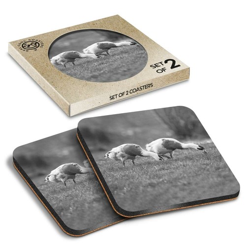 Boxed square coasters - x,
