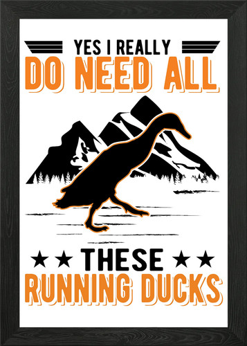 Indian runner duck framed wall - duck,