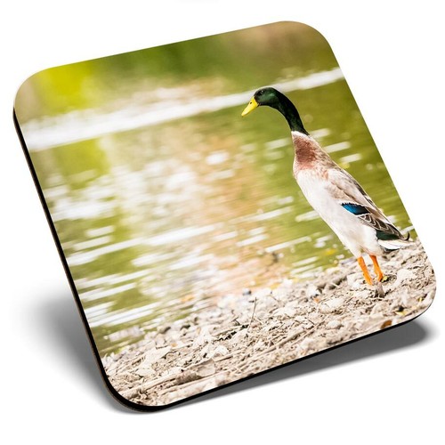 Square single coaster - -, pretty