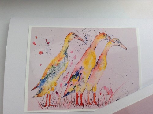 Indian runner ducks birthday - indian,
