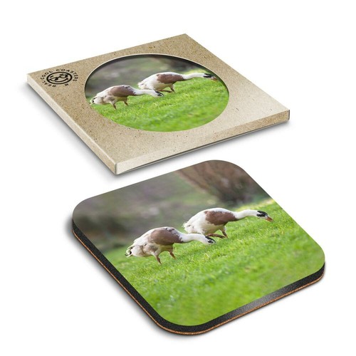 Boxed square coasters - boxed,