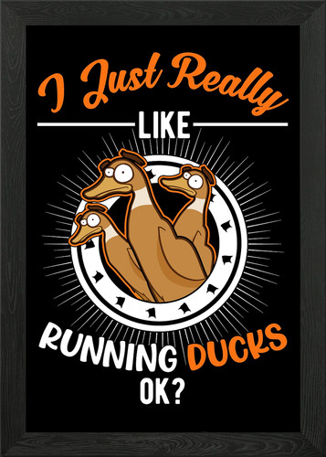 Indian runner duck framed - indian,