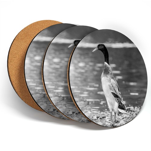 Coasters bw pretty - x,