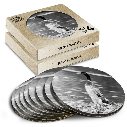 Boxed round coasters - -, bw