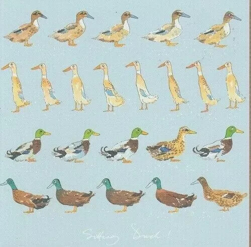 Ducks card sophie allport - ,
