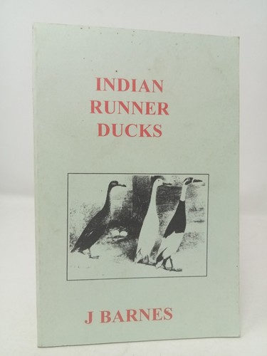 Barnes indian runner ducks - indian,