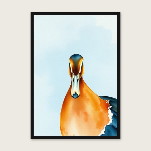 Indian runner duck - duck, wall
