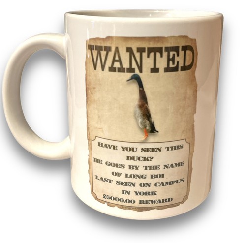 Long boi fan missing - long, mollard